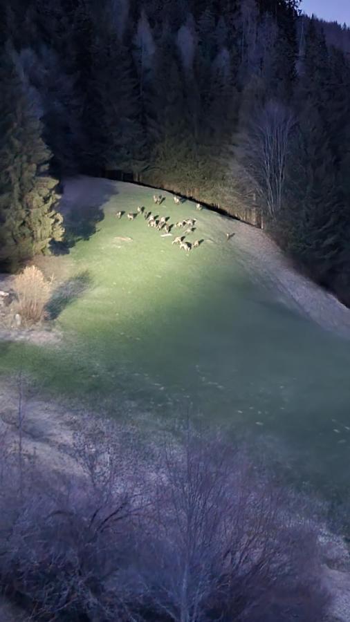 Ferienwohnungen Rabensteiner Bad Kleinkirchheim Dış mekan fotoğraf
