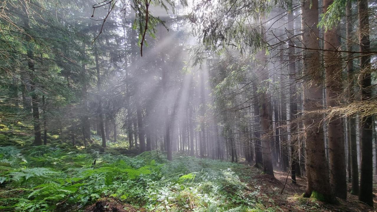 Ferienwohnungen Rabensteiner Bad Kleinkirchheim Dış mekan fotoğraf