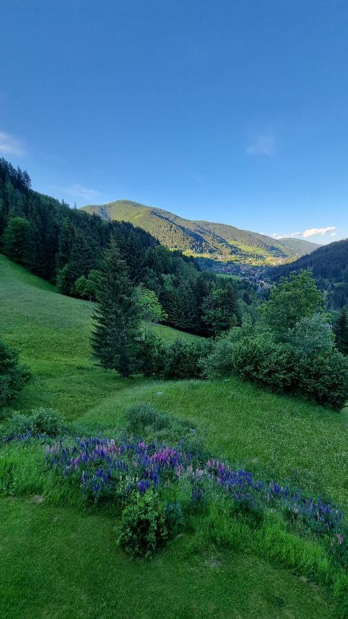 Ferienwohnungen Rabensteiner Bad Kleinkirchheim Dış mekan fotoğraf